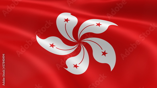 Hong Konger flag in the wind. Part of a series. photo
