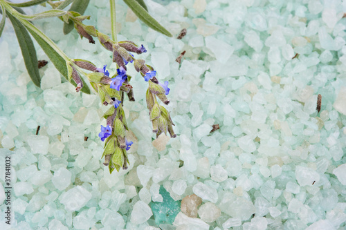 Lavendel, Badesalz und Zweig mit Blüten