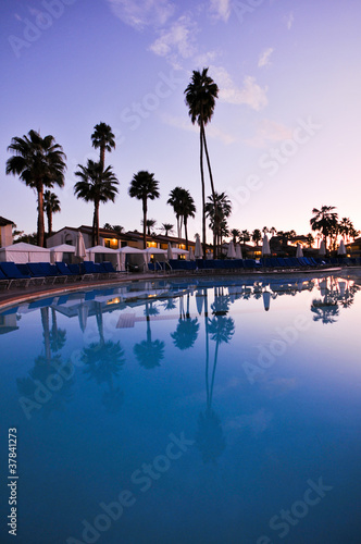 Pool with palm trees and chairs