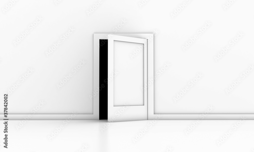 The door The door