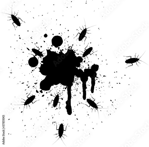 Vector illustration of spots and cockroaches