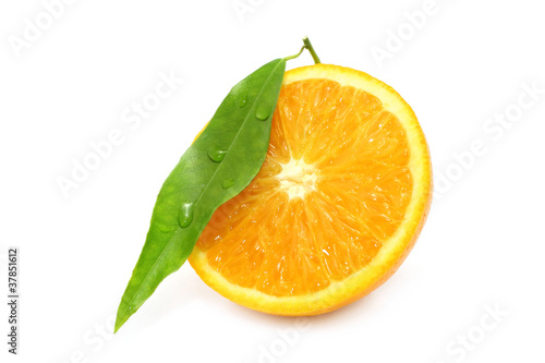 Orange segment on white background © rvlsoft