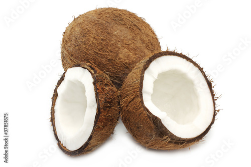 Fresh coconut and parts of coconut