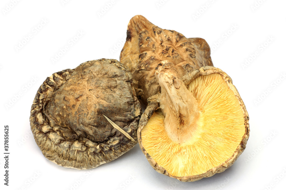dried shiitake dried shiitake