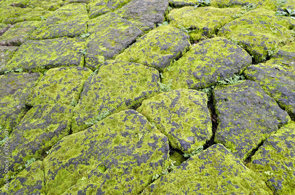Mossy Stones Mossy Stones