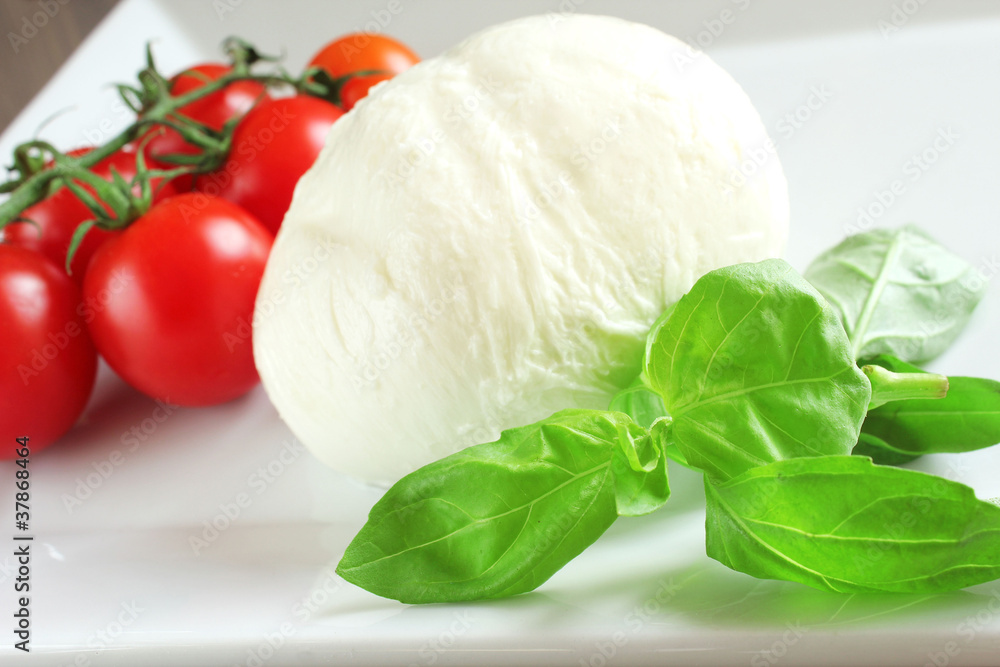 Mozzarella with tomatoes and basil Mozzarella with tomatoes and basil