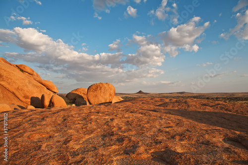 african landscape