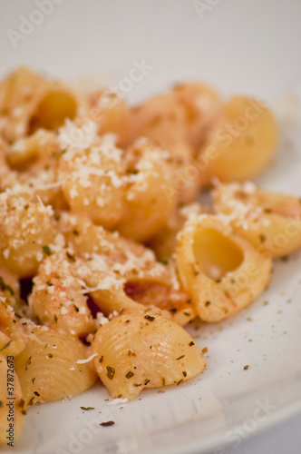 pasta conchiglie rosate close up photo