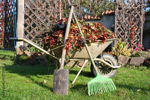 Gartenpflege im Herbst