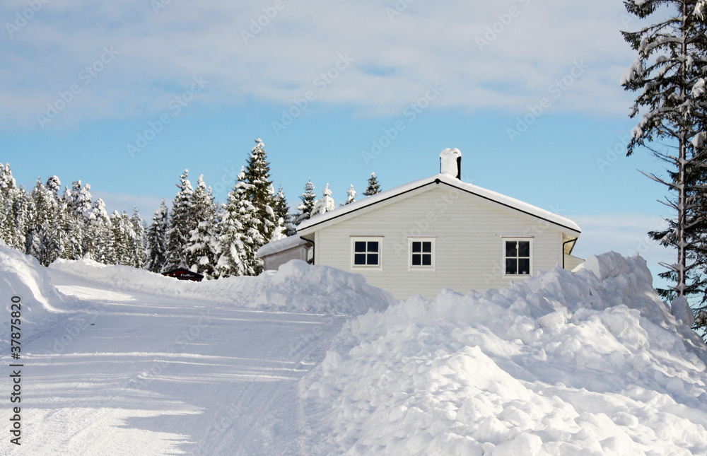 Fototapeta premium Winter wonderland