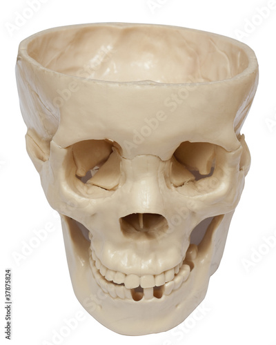 Photos Empty skull