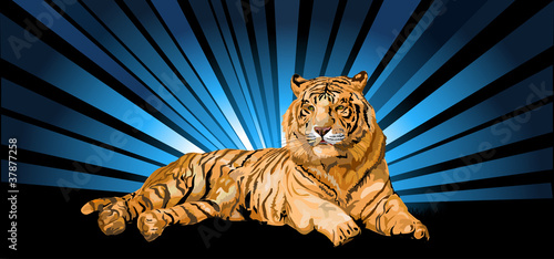 Siberian tiger