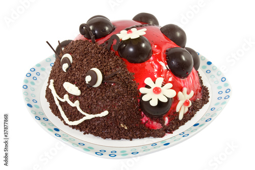 Ladybird cake photo