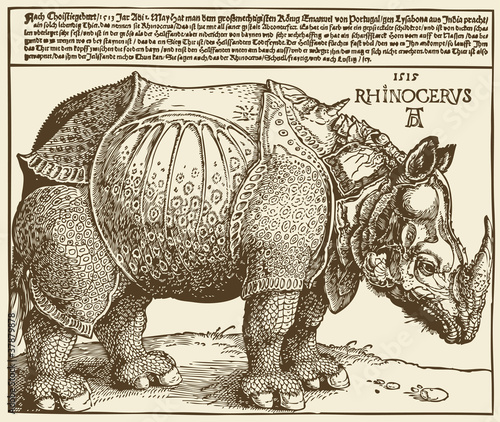rhino