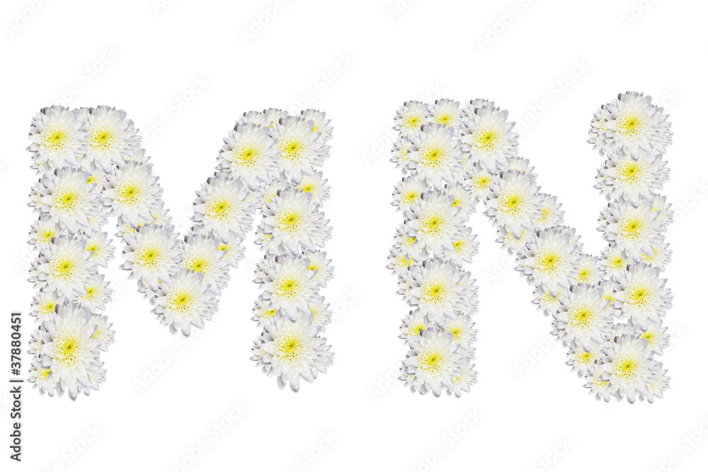 alphabet MN , White Flower isolated on white background alphabet MN , White Flower isolated on white background