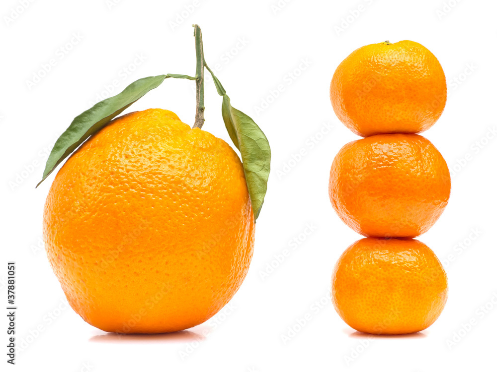 Double Size Concept with Oranges Isolated on White Double Size Concept with Oranges Isolated on White