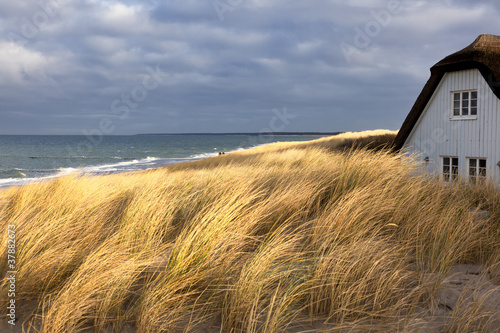 Fototapeta Naklejka Na Ścianę i Meble -  Wohnhaus in den Dünen
