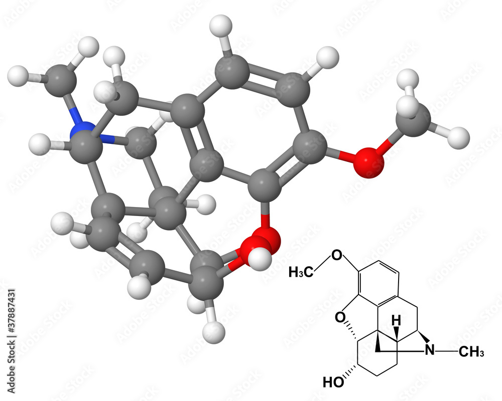 Codein molecule with chemical formula Codein molecule with chemical formula