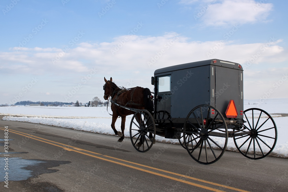 Fotografie Amish Carriage in Lancaster County