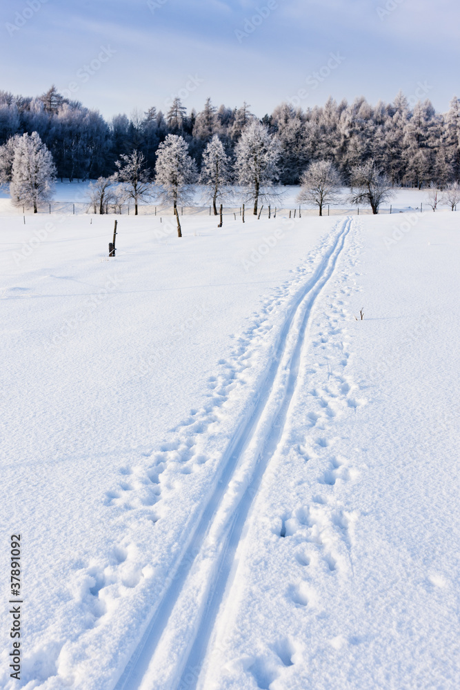 Fototapeta premium winter landscape, Czech Republic