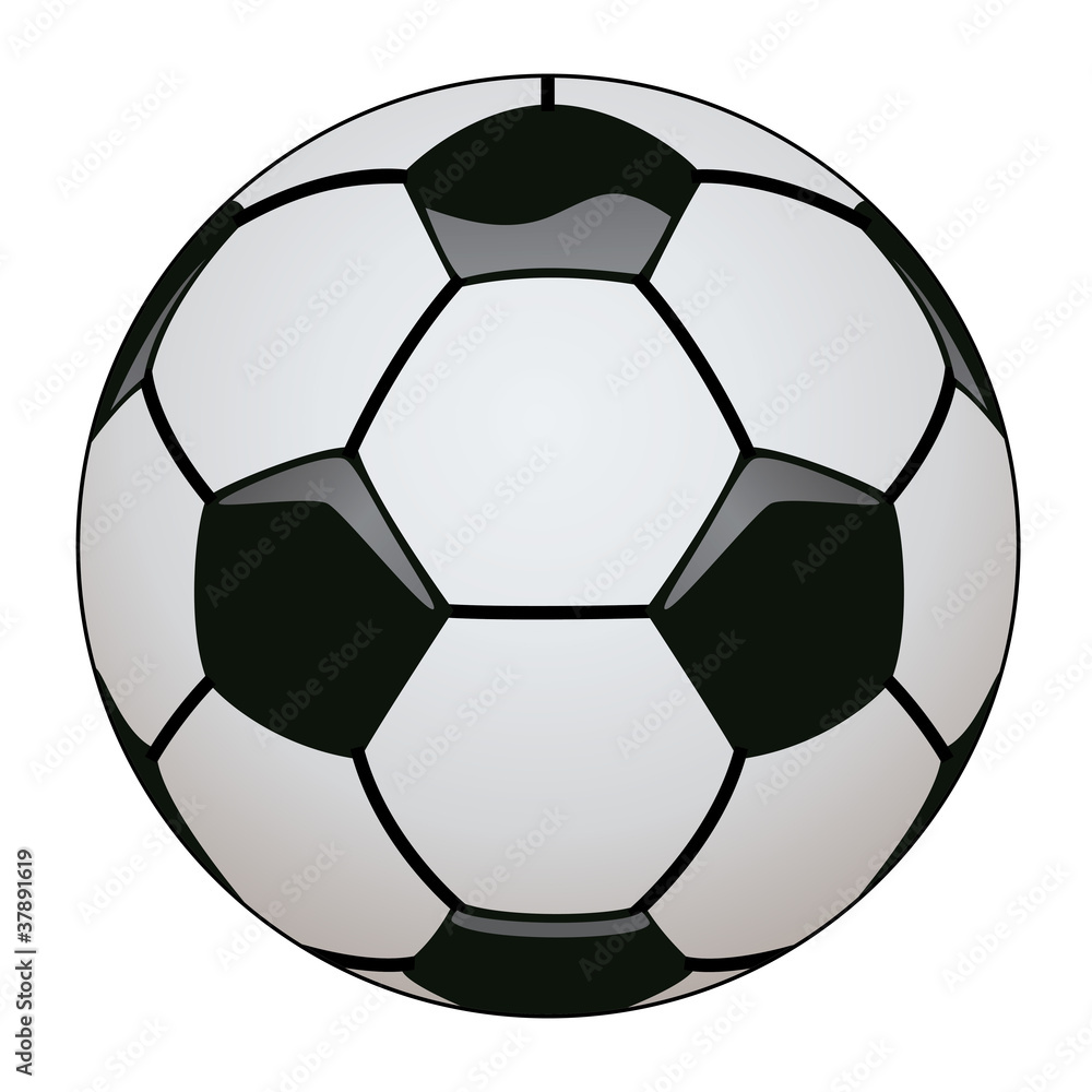 Fototapeta premium vector soccer ball