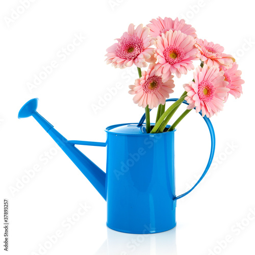 Blue watering can with pink flowers