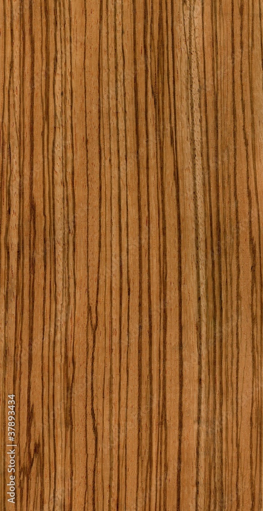 Wood texture Wood texture