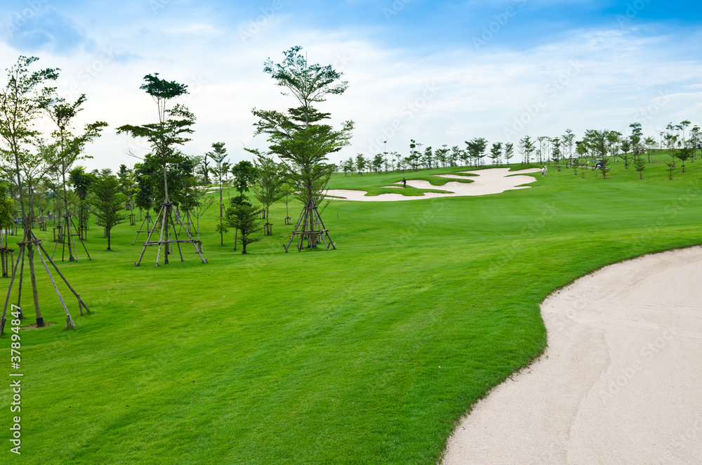 landscape of golf course