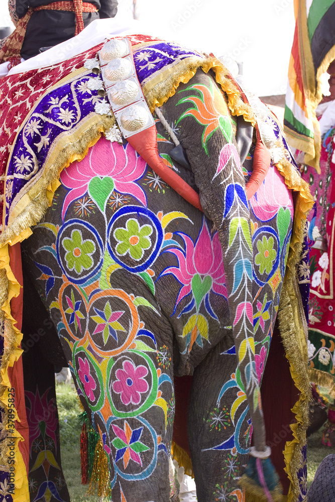 hand painted colorful elephant , Rajasthan, India