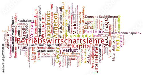 Begriffswolke Betriebswirtschaftslehre