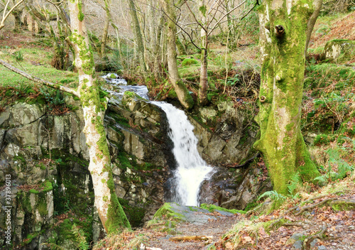 Scenic Waterfall At Rydal Hall