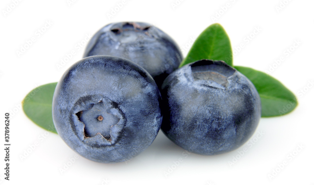 Blueberries with leaves Blueberries with leaves
