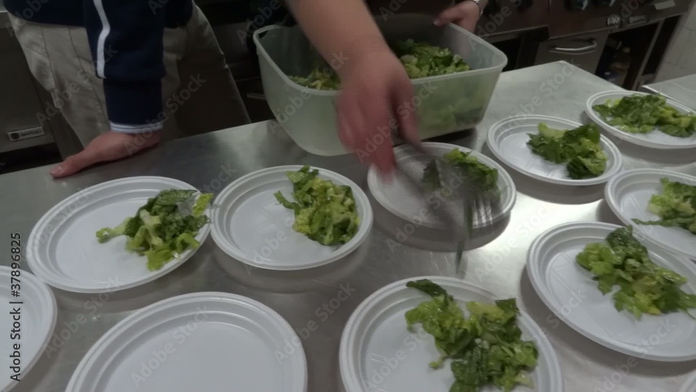 insalata insalata