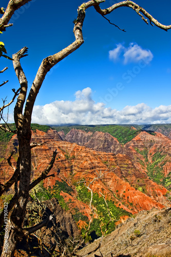 Waimea Canyon