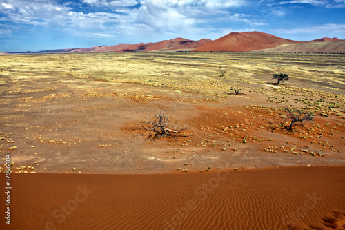 a view from the une 45 near sossusvlei namibia africa