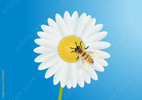 margueritte-Abeille