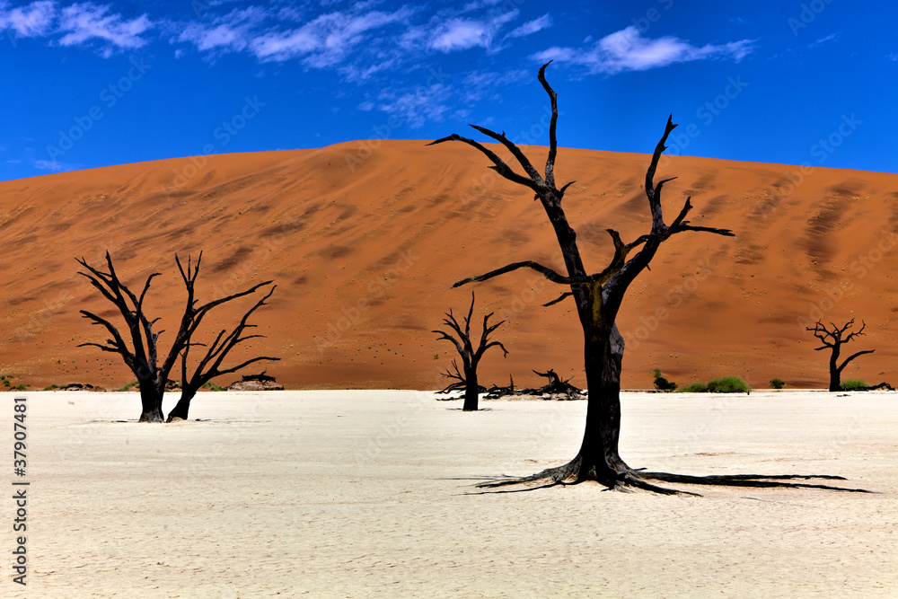 dead trees in front of a orange dune in deadvlei namib naukluft dead trees in front of a orange dune in deadvlei namib naukluft