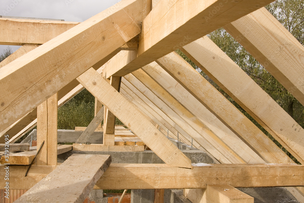 Wood structure Wood structure