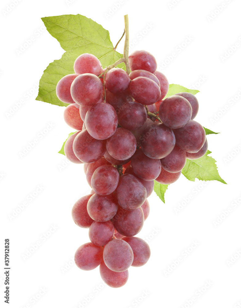 red grape red grape