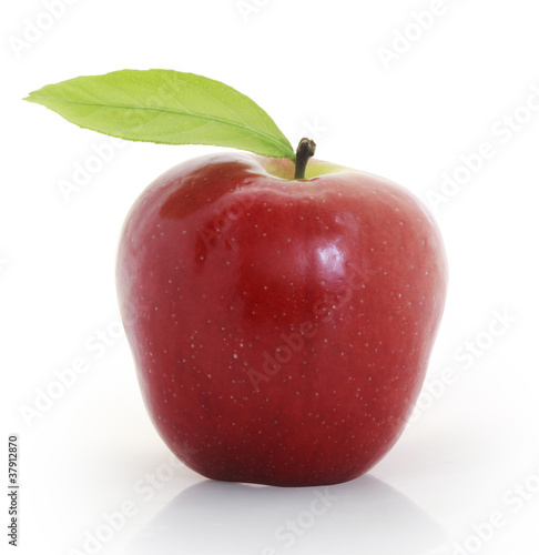 Red apple and white background