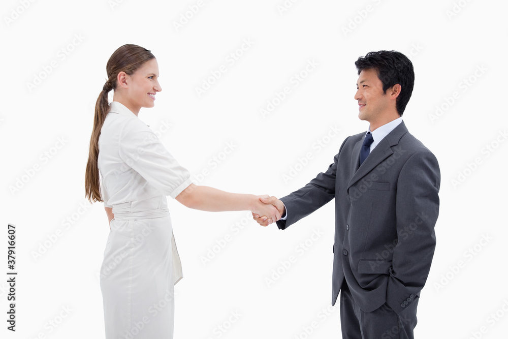 Business people shaking hands