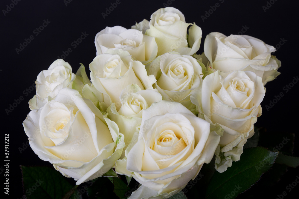 Bouquet of white roses (hybrid tea) over black background Bouquet of white roses (hybrid tea) over black background