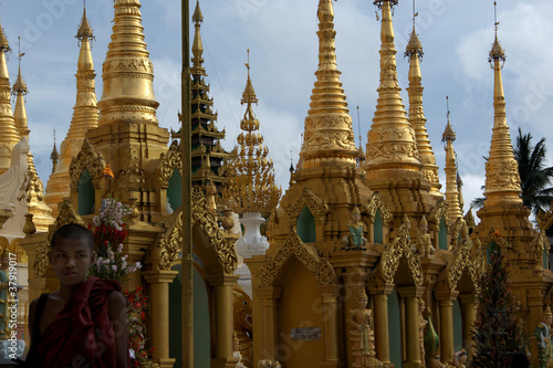 The Schedagon Pagoda in Yangonm  Myanmar  Burma  - Asia