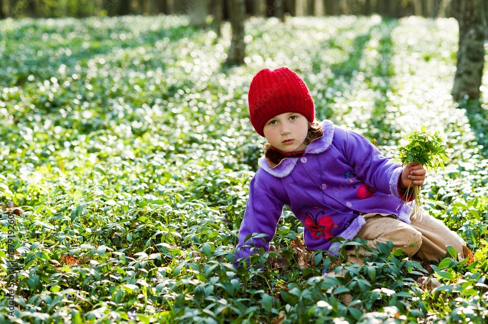 Girl in the woods Girl in the woods