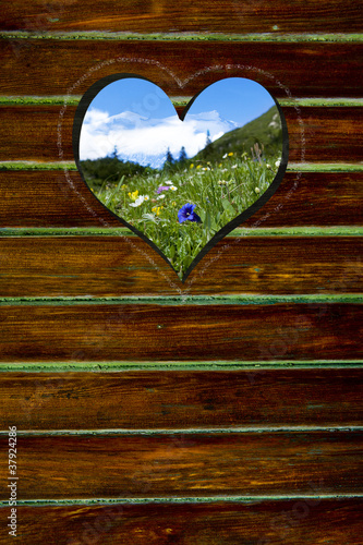 Herz in der Holzwand