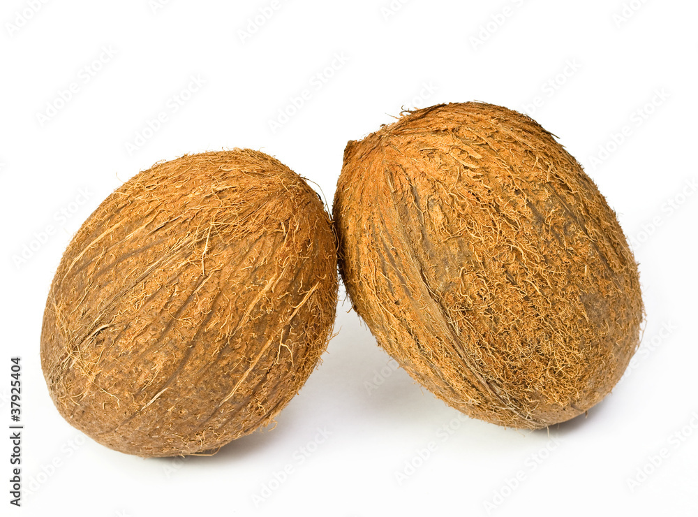 Two coconuts Two coconuts