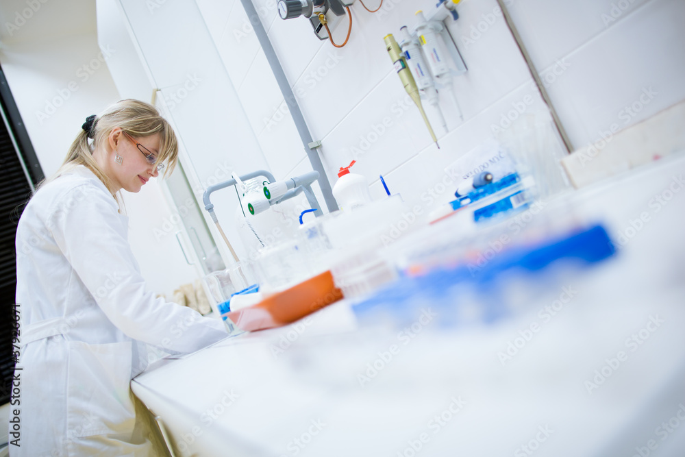 female researcher carrying out research experiments in a lab female researcher carrying out research experiments in a lab