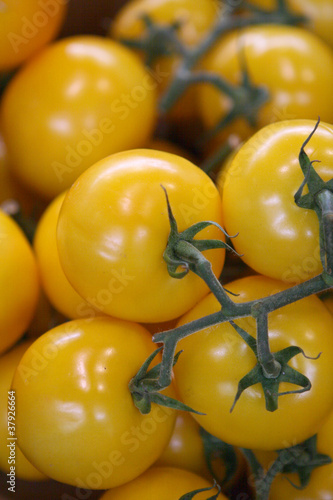Yellow Tomatoes
