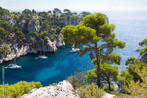 Calanques of Port Pin in Cassis #37930452
