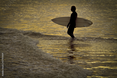 Golden Surfer